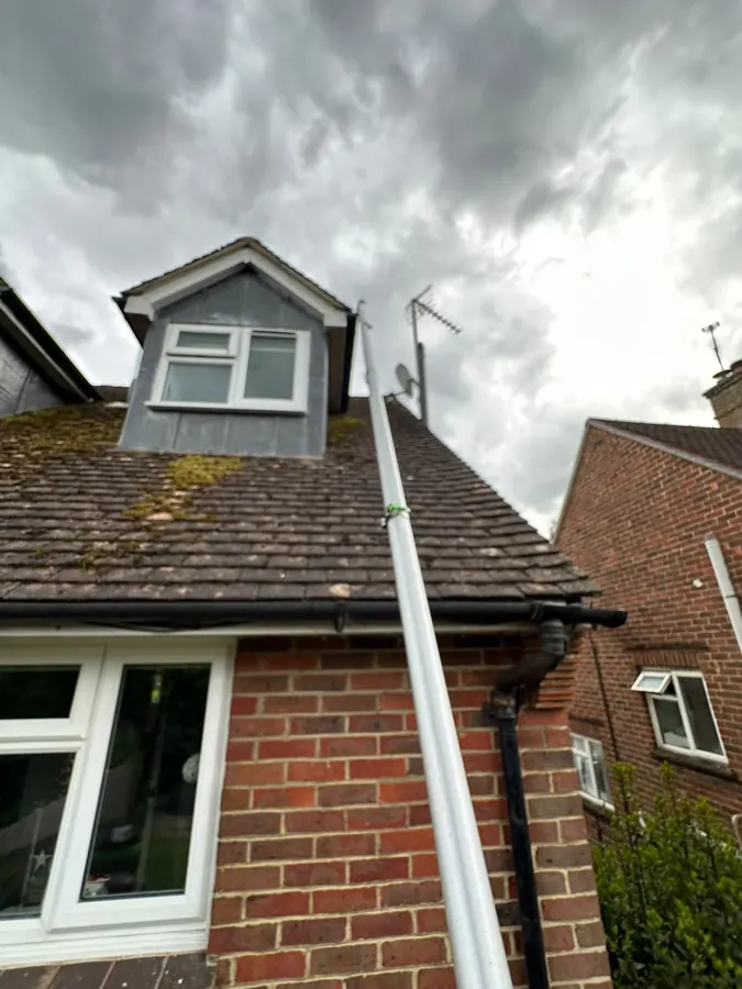 Pole reaching a dormer window on a mossy roofline